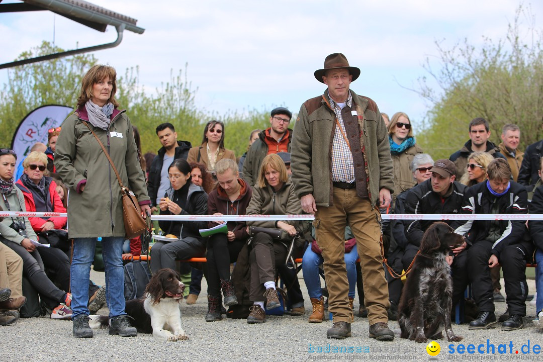 Jagdhundetag Dornsberg der Landesjagdschule: Eigeltingen, 23.04.2017