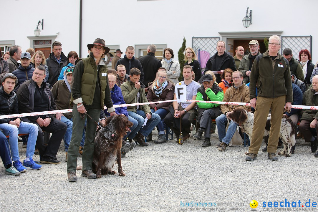 Jagdhundetag Dornsberg der Landesjagdschule: Eigeltingen, 23.04.2017