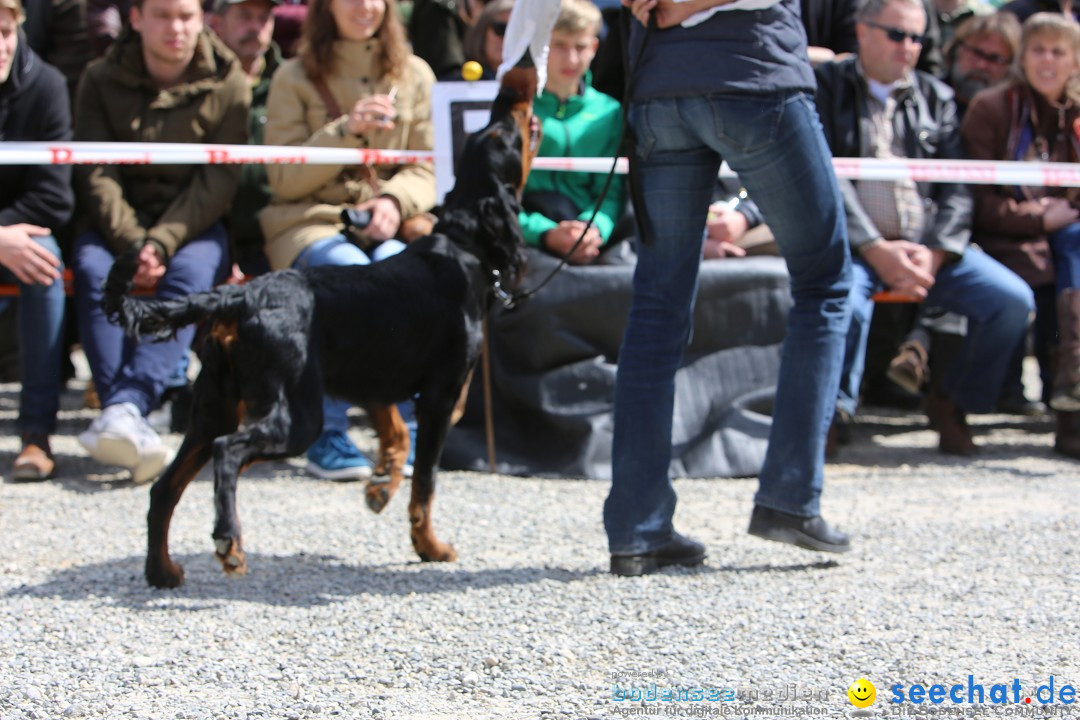 Jagdhundetag Dornsberg der Landesjagdschule: Eigeltingen, 23.04.2017