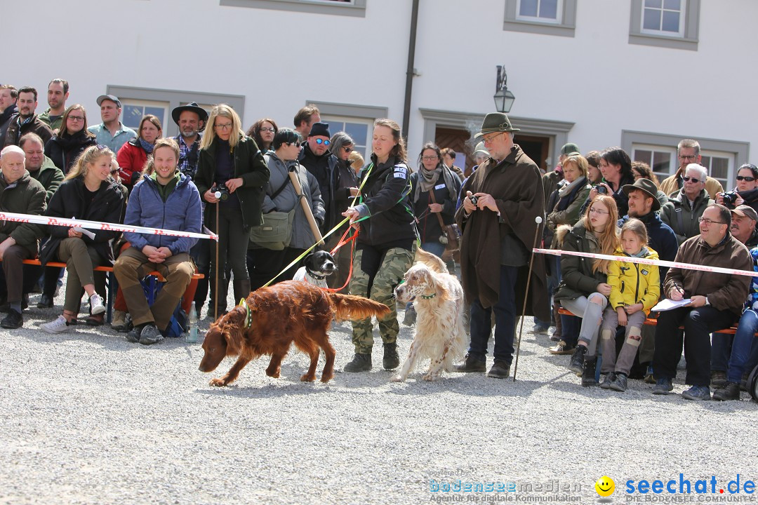 Jagdhundetag Dornsberg der Landesjagdschule: Eigeltingen, 23.04.2017