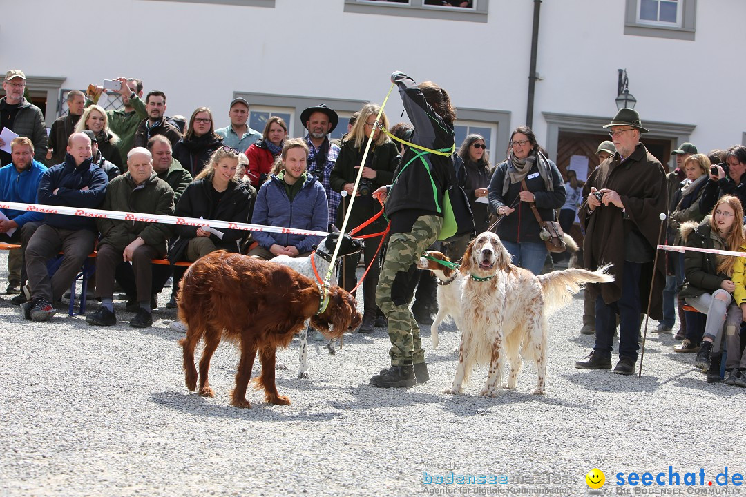 Jagdhundetag Dornsberg der Landesjagdschule: Eigeltingen, 23.04.2017