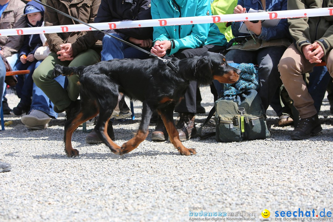 Jagdhundetag Dornsberg der Landesjagdschule: Eigeltingen, 23.04.2017