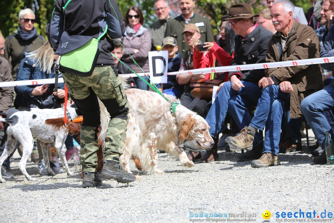 Jagdhundetag Dornsberg der Landesjagdschule: Eigeltingen, 23.04.2017