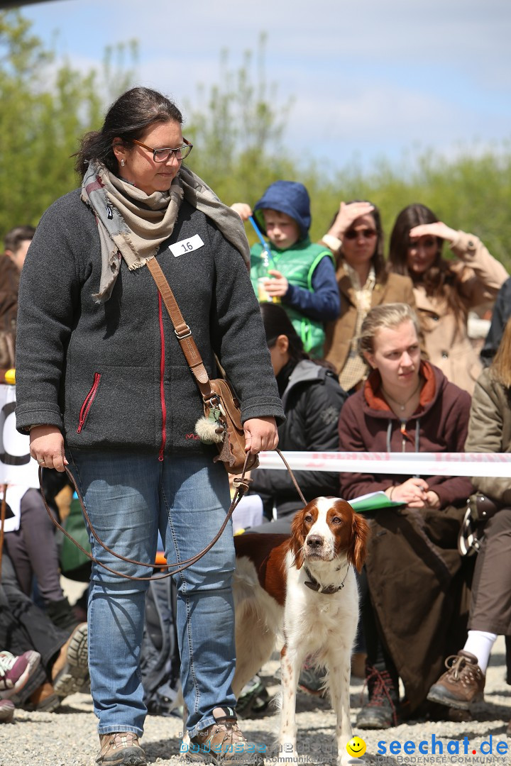 Jagdhundetag Dornsberg der Landesjagdschule: Eigeltingen, 23.04.2017