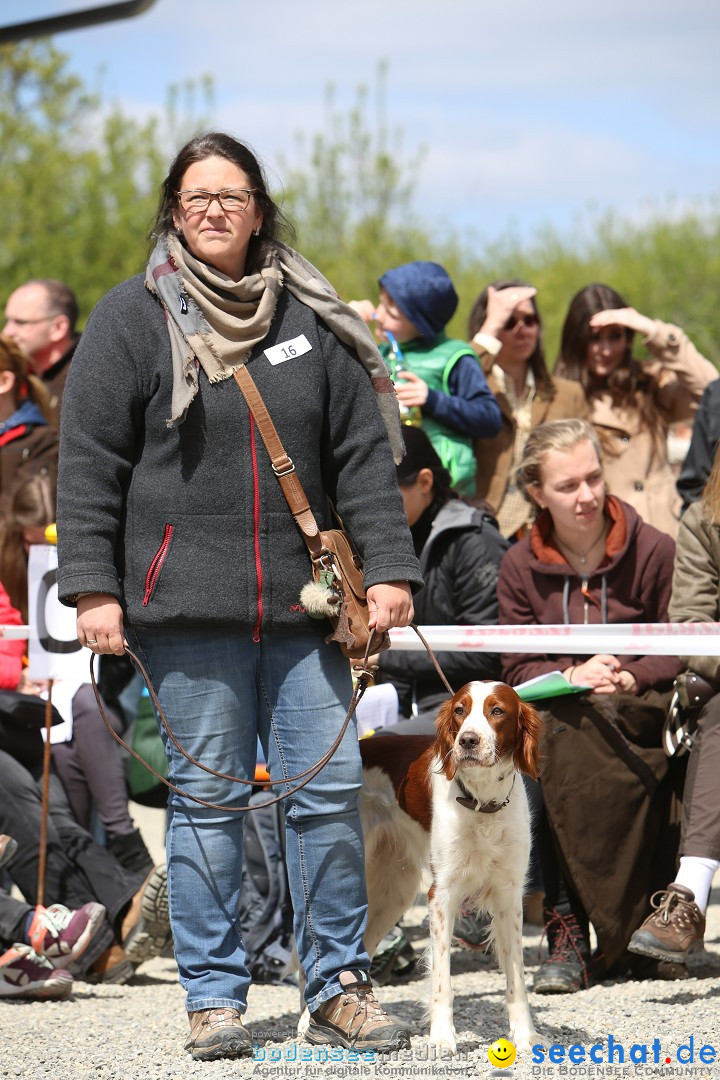 Jagdhundetag Dornsberg der Landesjagdschule: Eigeltingen, 23.04.2017