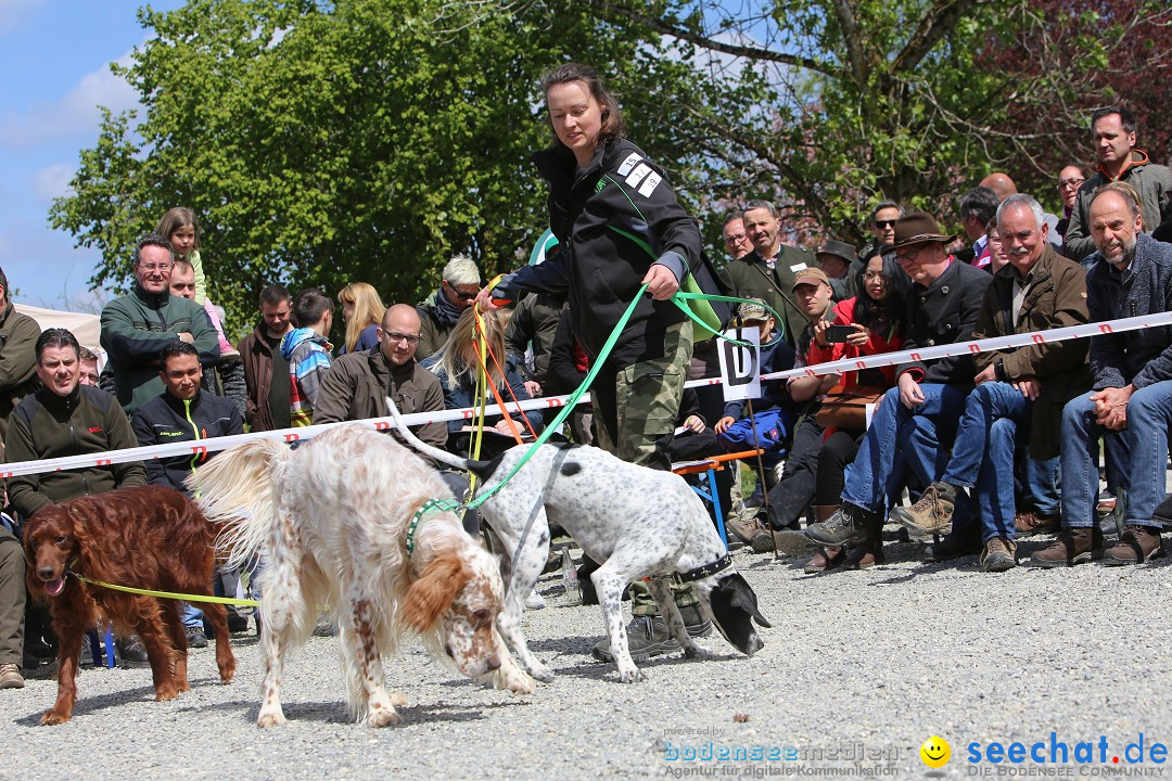 Jagdhundetag Dornsberg der Landesjagdschule: Eigeltingen, 23.04.2017