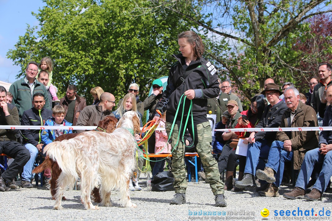 Jagdhundetag Dornsberg der Landesjagdschule: Eigeltingen, 23.04.2017