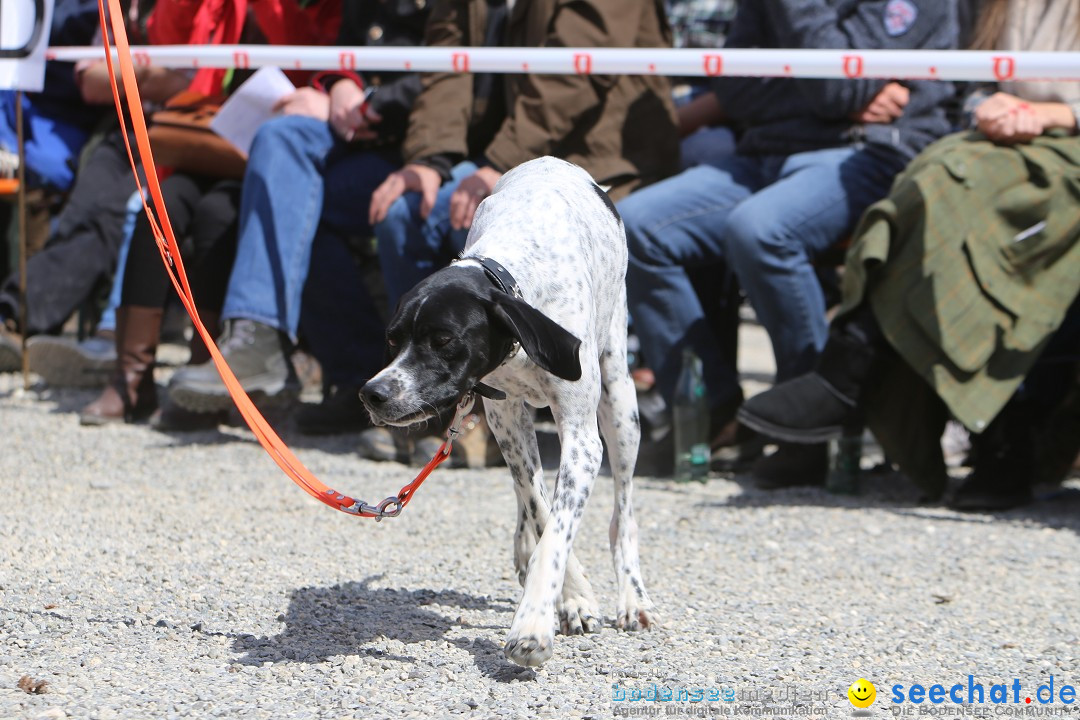 Jagdhundetag Dornsberg der Landesjagdschule: Eigeltingen, 23.04.2017