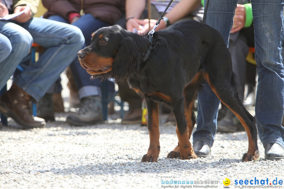 Jagdhundetag Dornsberg der Landesjagdschule: Eigeltingen, 23.04.2017