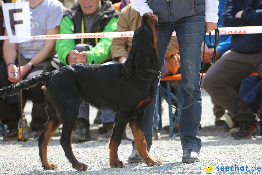 Jagdhundetag Dornsberg der Landesjagdschule: Eigeltingen, 23.04.2017