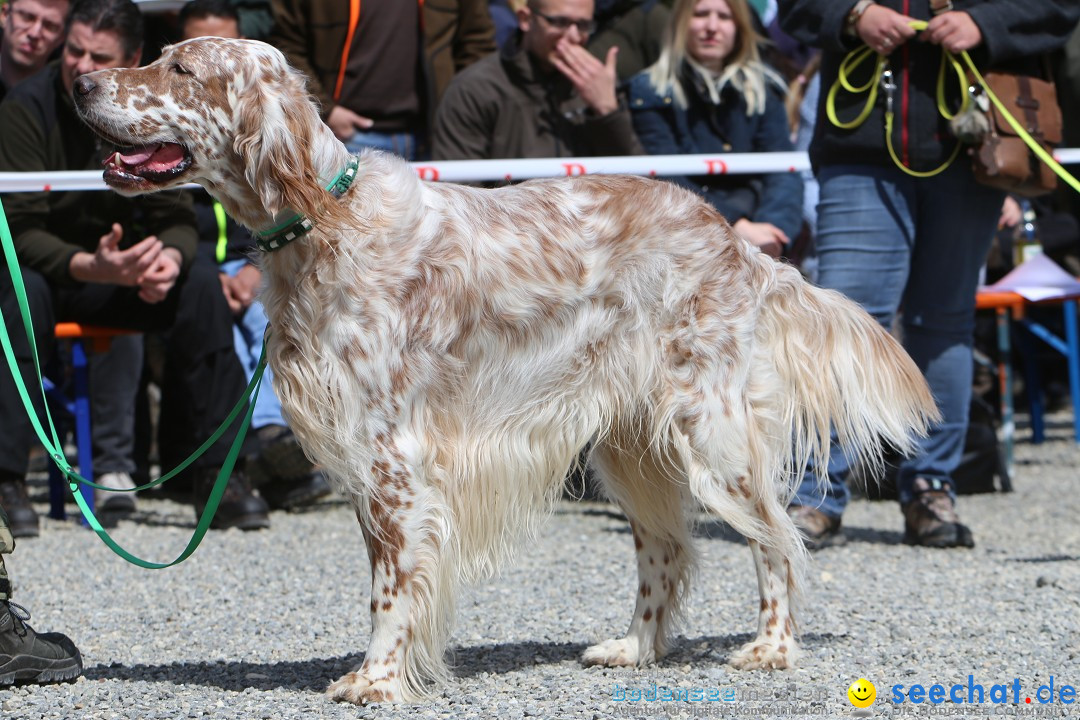 Jagdhundetag Dornsberg der Landesjagdschule: Eigeltingen, 23.04.2017