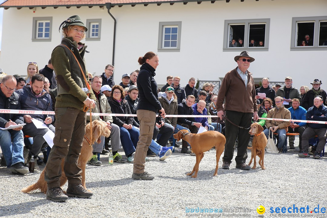 Jagdhundetag Dornsberg der Landesjagdschule: Eigeltingen, 23.04.2017