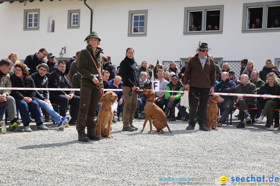 Jagdhundetag Dornsberg der Landesjagdschule: Eigeltingen, 23.04.2017