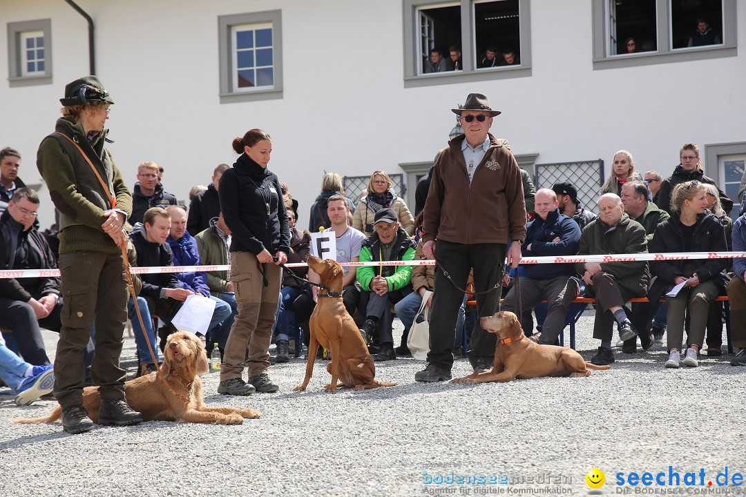 Jagdhundetag Dornsberg der Landesjagdschule: Eigeltingen, 23.04.2017