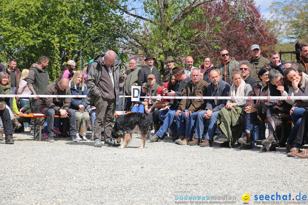 Jagdhundetag Dornsberg der Landesjagdschule: Eigeltingen, 23.04.2017