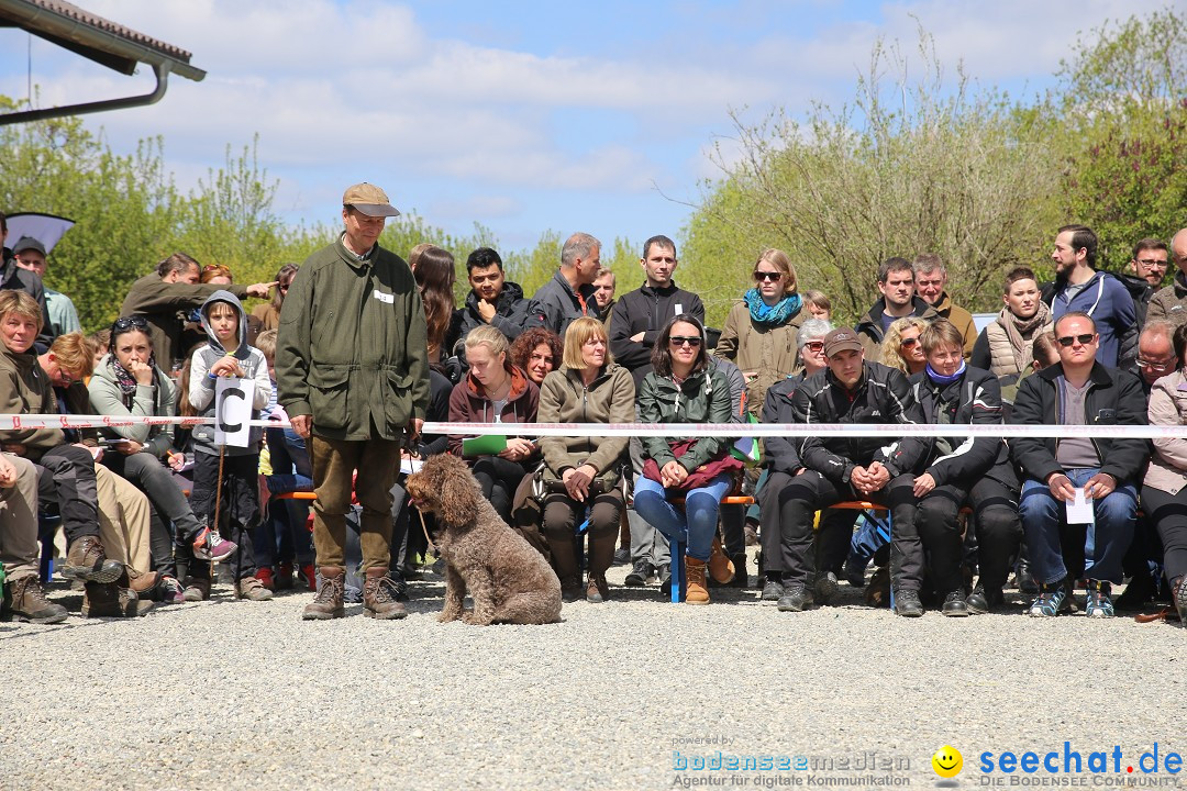 Jagdhundetag Dornsberg der Landesjagdschule: Eigeltingen, 23.04.2017