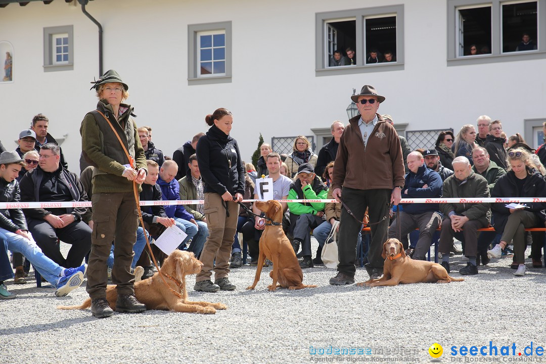 Jagdhundetag Dornsberg der Landesjagdschule: Eigeltingen, 23.04.2017