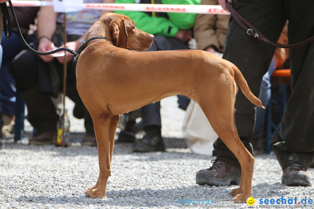 Jagdhundetag Dornsberg der Landesjagdschule: Eigeltingen, 23.04.2017