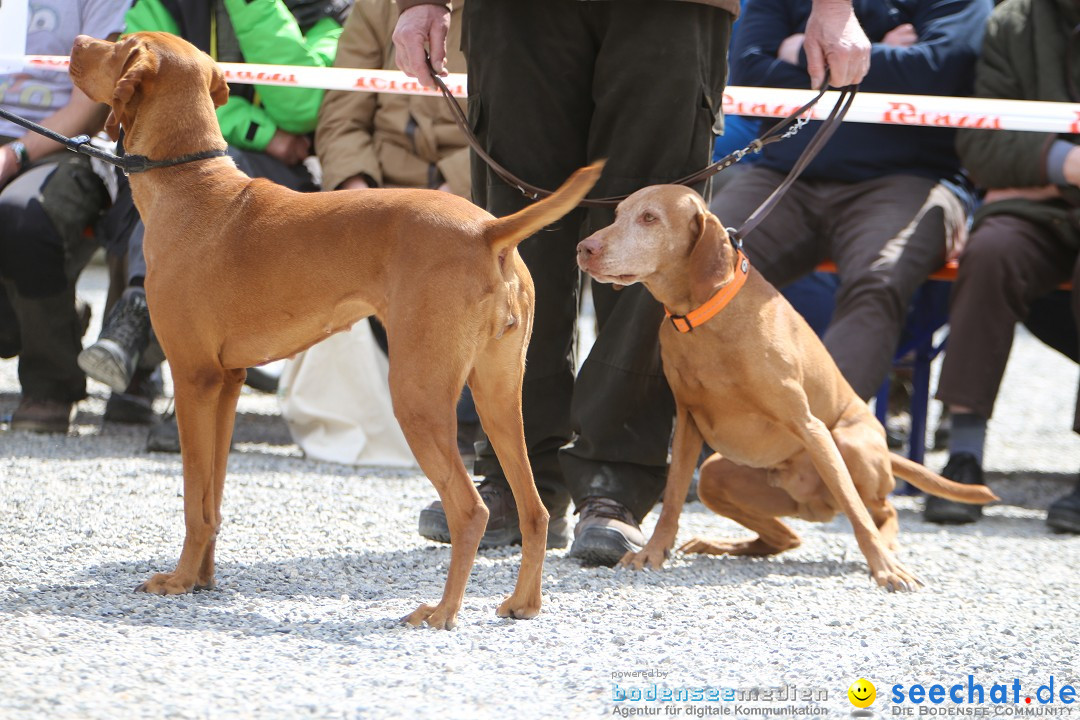 Jagdhundetag Dornsberg der Landesjagdschule: Eigeltingen, 23.04.2017