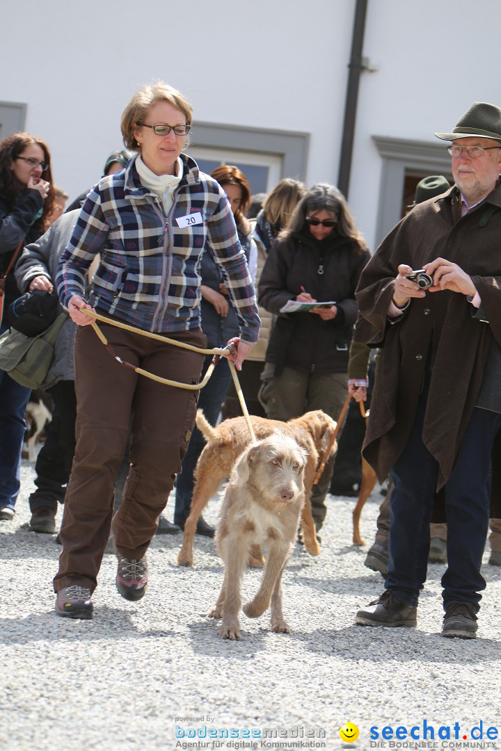 Jagdhundetag Dornsberg der Landesjagdschule: Eigeltingen, 23.04.2017