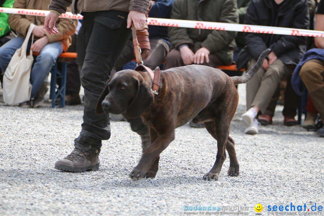 Jagdhundetag Dornsberg der Landesjagdschule: Eigeltingen, 23.04.2017