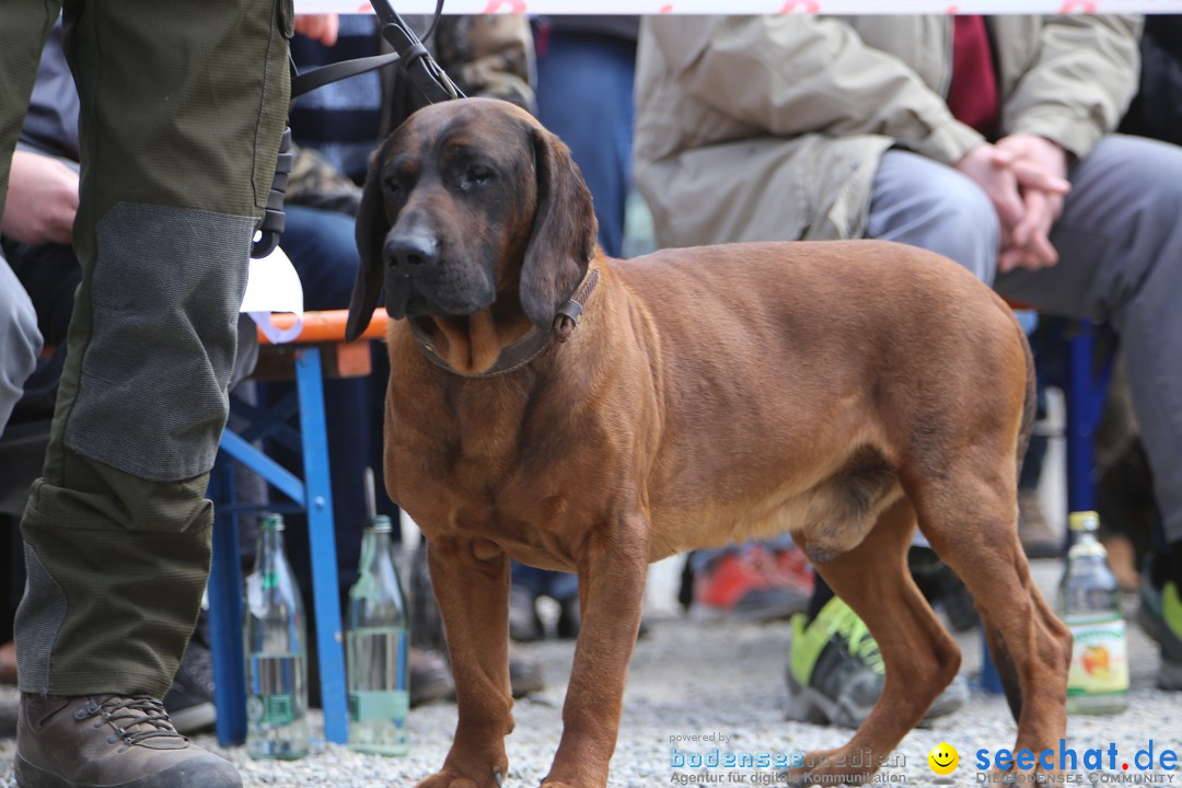 Jagdhundetag Dornsberg der Landesjagdschule: Eigeltingen, 23.04.2017