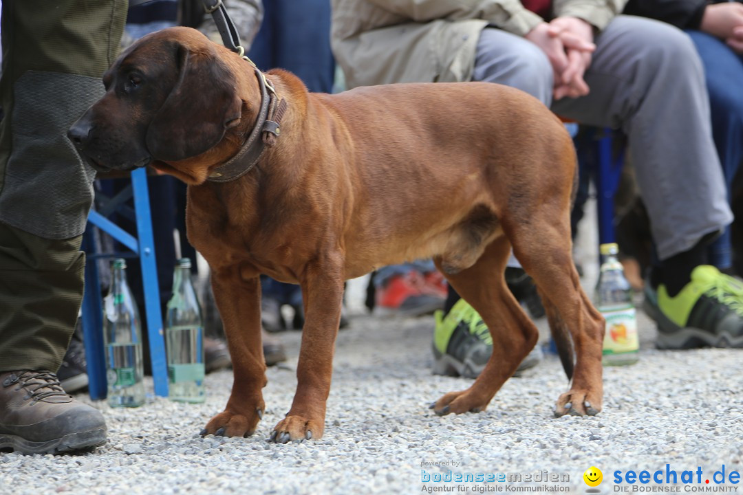 Jagdhundetag Dornsberg der Landesjagdschule: Eigeltingen, 23.04.2017