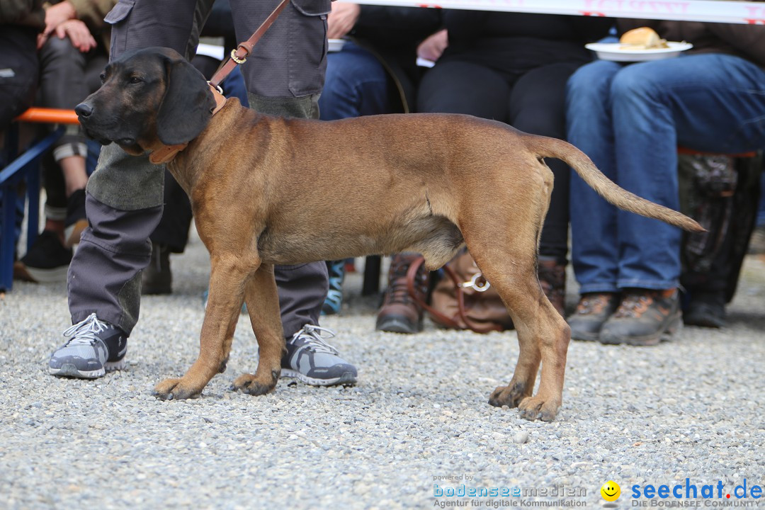 Jagdhundetag Dornsberg der Landesjagdschule: Eigeltingen, 23.04.2017