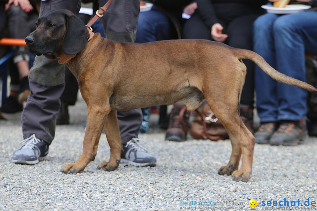 Jagdhundetag Dornsberg der Landesjagdschule: Eigeltingen, 23.04.2017