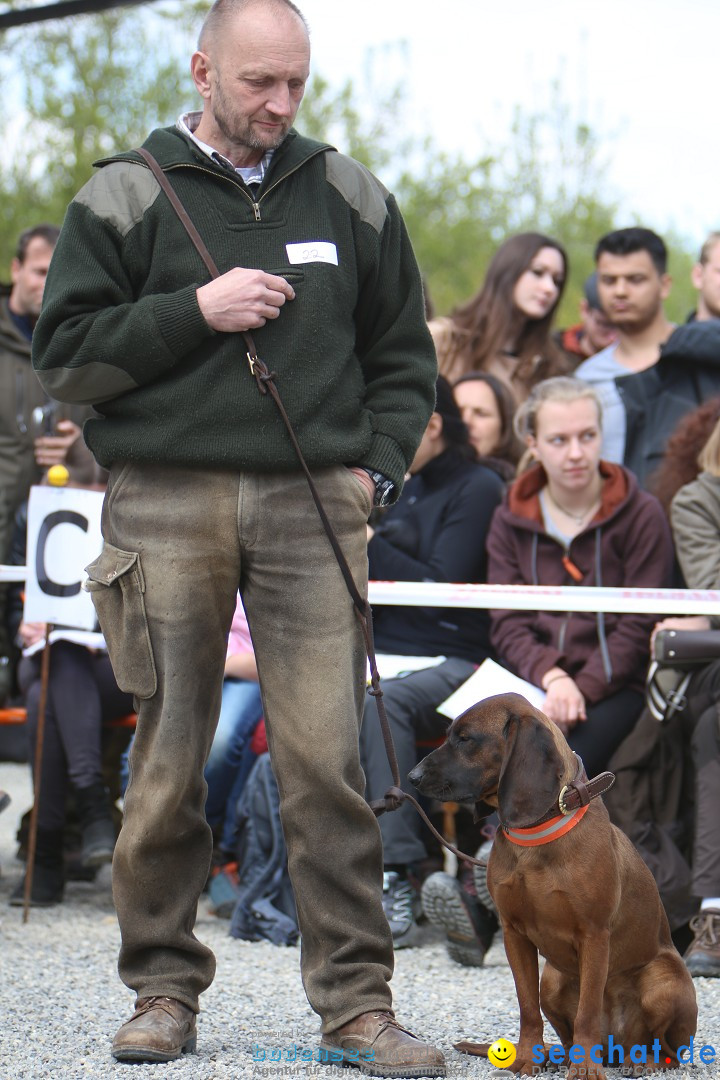 Jagdhundetag Dornsberg der Landesjagdschule: Eigeltingen, 23.04.2017