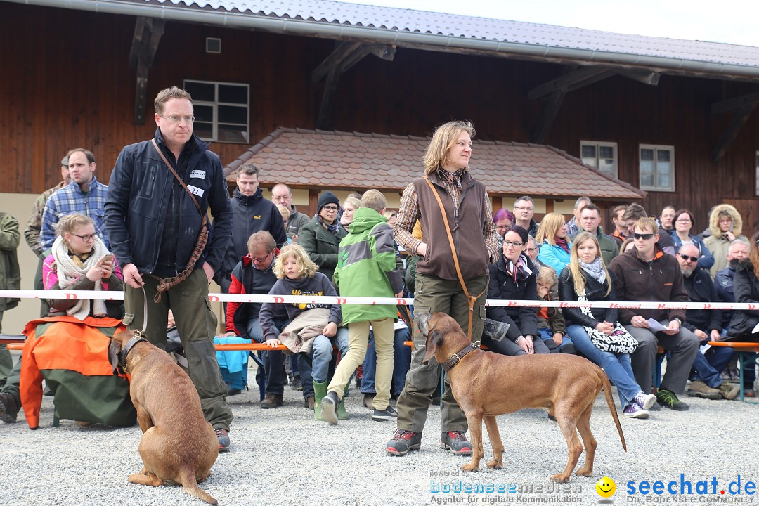 Jagdhundetag Dornsberg der Landesjagdschule: Eigeltingen, 23.04.2017