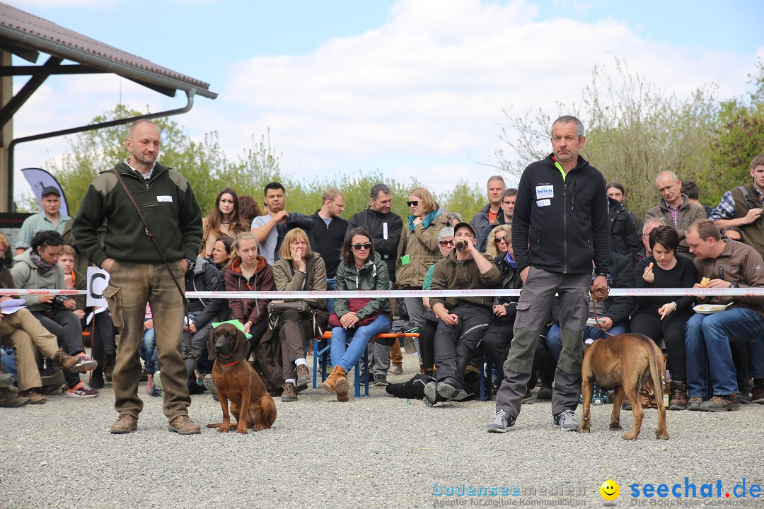 Jagdhundetag Dornsberg der Landesjagdschule: Eigeltingen, 23.04.2017