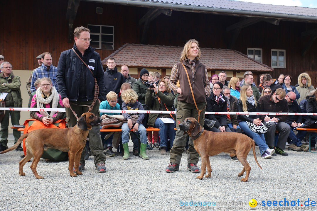 Jagdhundetag Dornsberg der Landesjagdschule: Eigeltingen, 23.04.2017