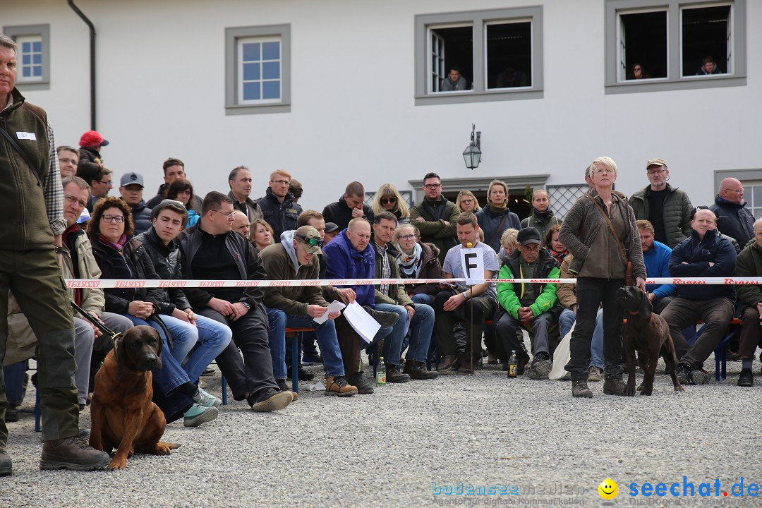 Jagdhundetag Dornsberg der Landesjagdschule: Eigeltingen, 23.04.2017