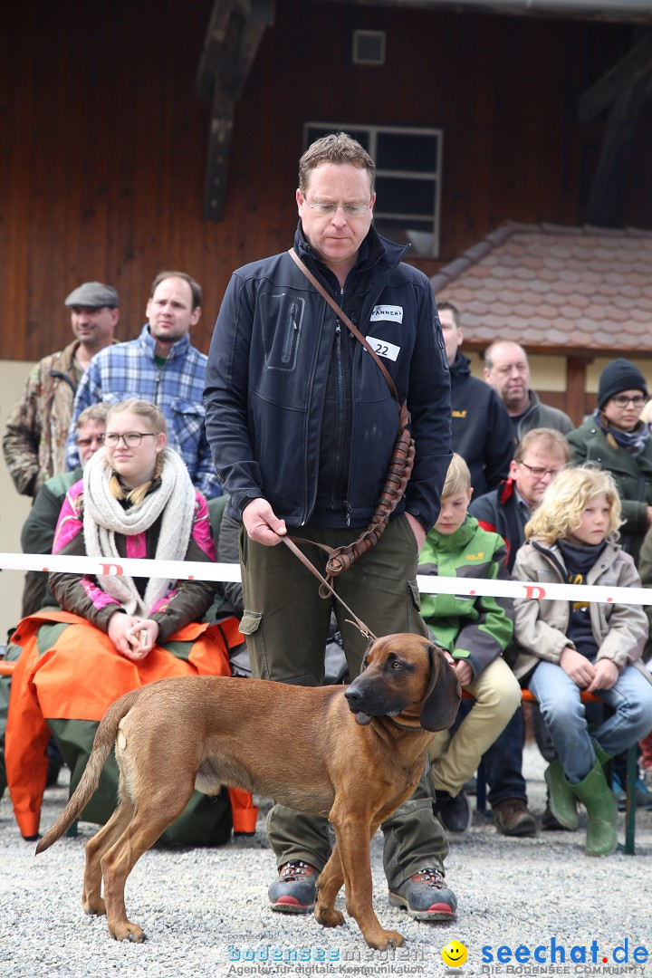 Jagdhundetag Dornsberg der Landesjagdschule: Eigeltingen, 23.04.2017