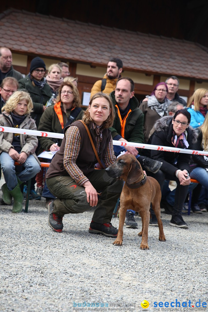 Jagdhundetag Dornsberg der Landesjagdschule: Eigeltingen, 23.04.2017