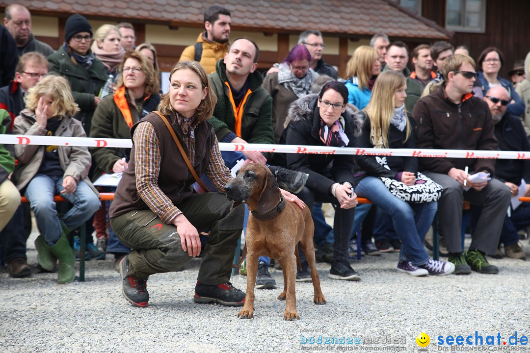 Jagdhundetag Dornsberg der Landesjagdschule: Eigeltingen, 23.04.2017