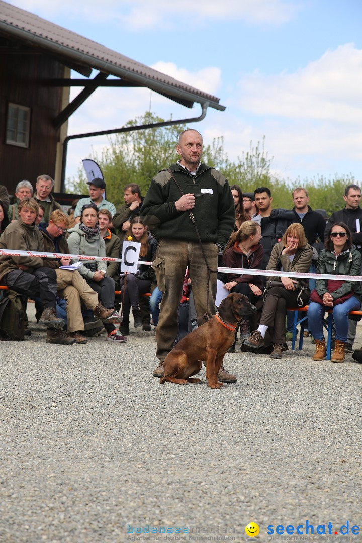 Jagdhundetag Dornsberg der Landesjagdschule: Eigeltingen, 23.04.2017