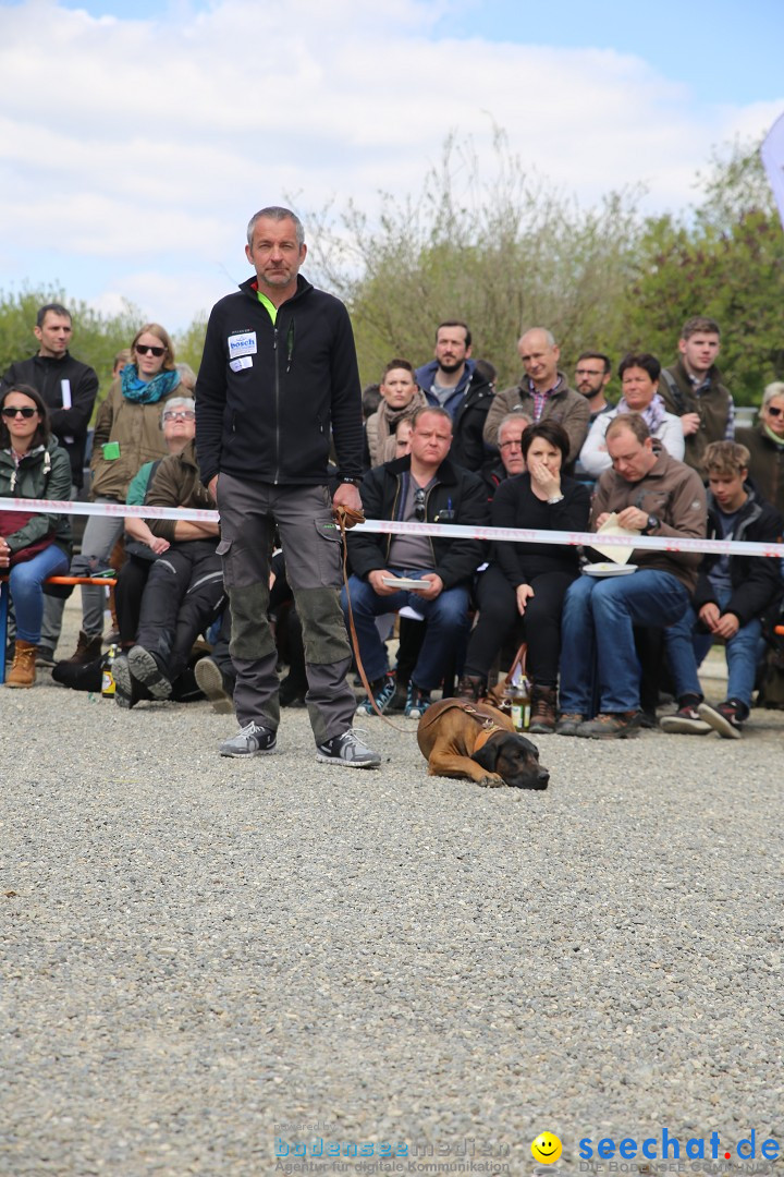 Jagdhundetag Dornsberg der Landesjagdschule: Eigeltingen, 23.04.2017