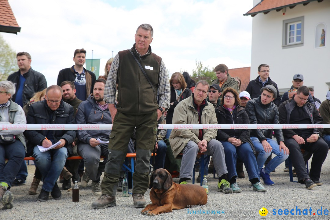 Jagdhundetag Dornsberg der Landesjagdschule: Eigeltingen, 23.04.2017