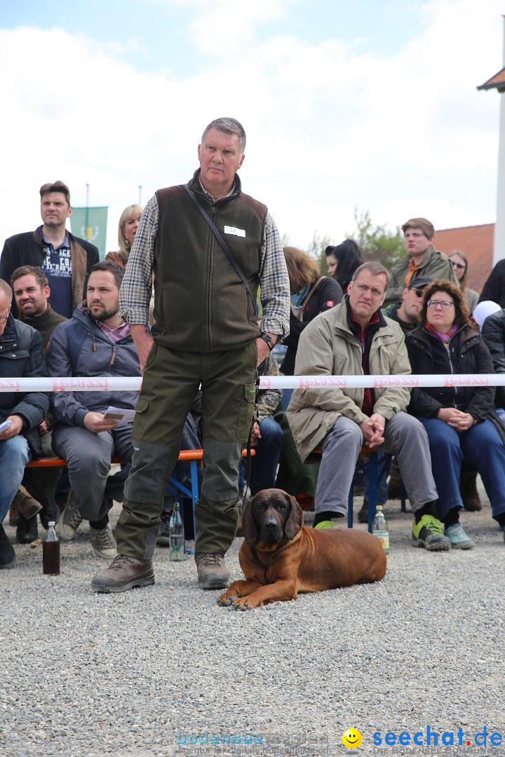 Jagdhundetag Dornsberg der Landesjagdschule: Eigeltingen, 23.04.2017