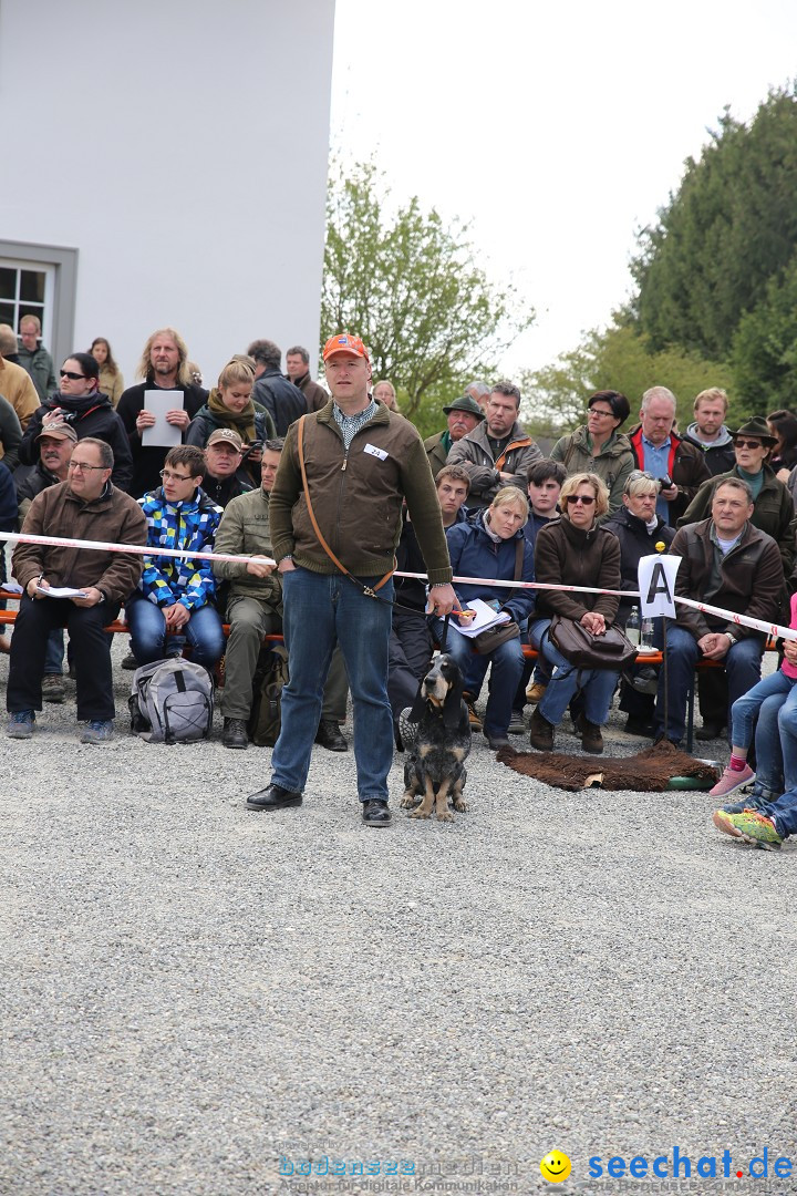 Jagdhundetag Dornsberg der Landesjagdschule: Eigeltingen, 23.04.2017