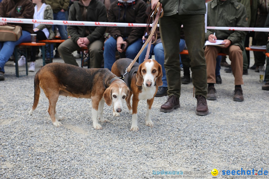 Jagdhundetag Dornsberg der Landesjagdschule: Eigeltingen, 23.04.2017