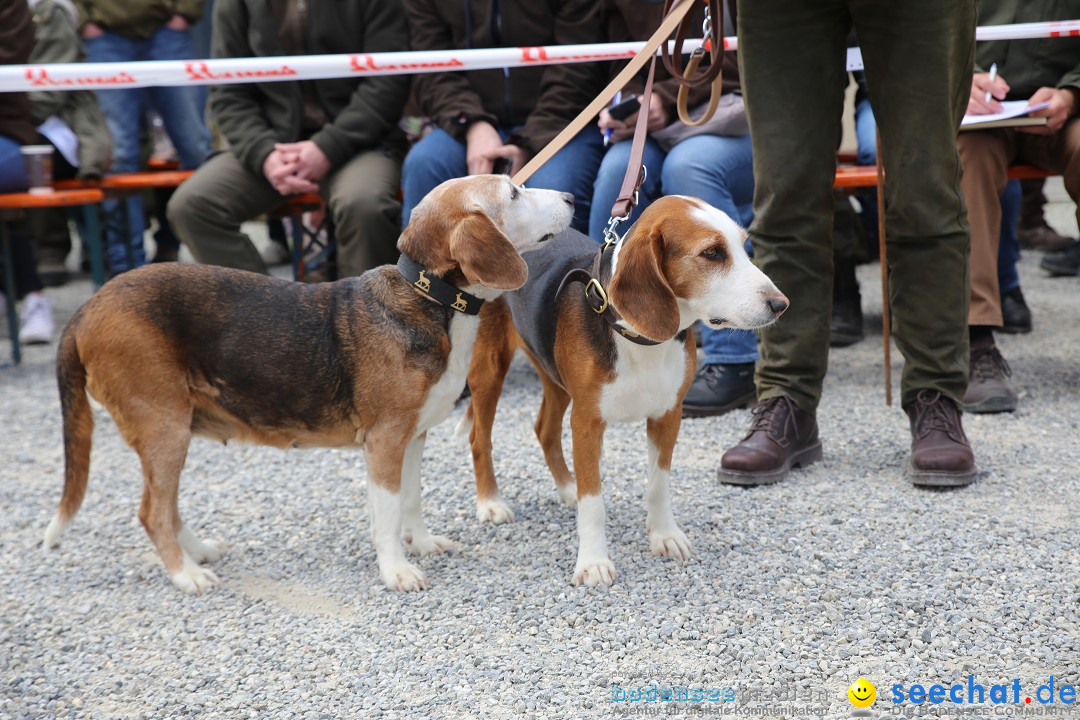 Jagdhundetag Dornsberg der Landesjagdschule: Eigeltingen, 23.04.2017