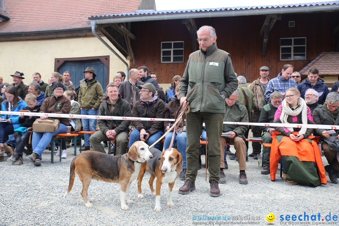 Jagdhundetag Dornsberg der Landesjagdschule: Eigeltingen, 23.04.2017