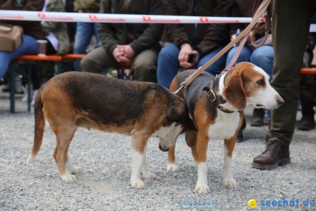 Jagdhundetag Dornsberg der Landesjagdschule: Eigeltingen, 23.04.2017