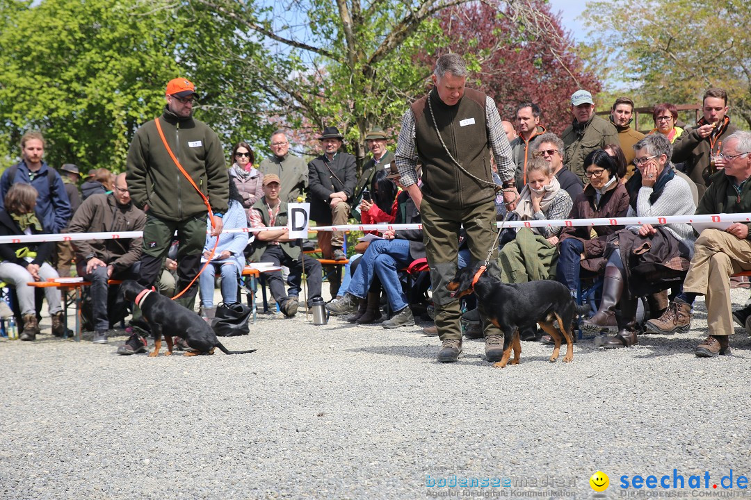 Jagdhundetag Dornsberg der Landesjagdschule: Eigeltingen, 23.04.2017