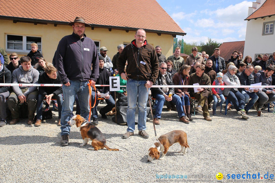 Jagdhundetag Dornsberg der Landesjagdschule: Eigeltingen, 23.04.2017