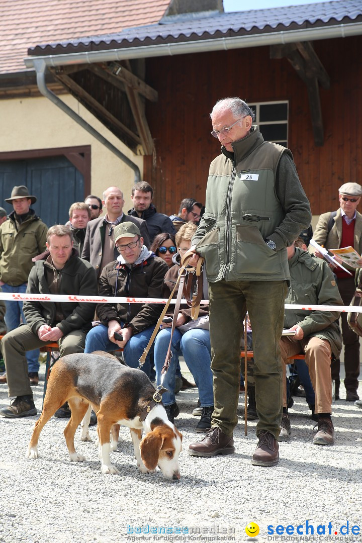 Jagdhundetag Dornsberg der Landesjagdschule: Eigeltingen, 23.04.2017