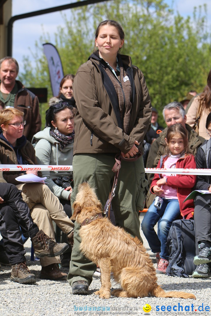 Jagdhundetag Dornsberg der Landesjagdschule: Eigeltingen, 23.04.2017